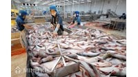Thành lập công ty kinh doanh thủy sản, giống thủy sản