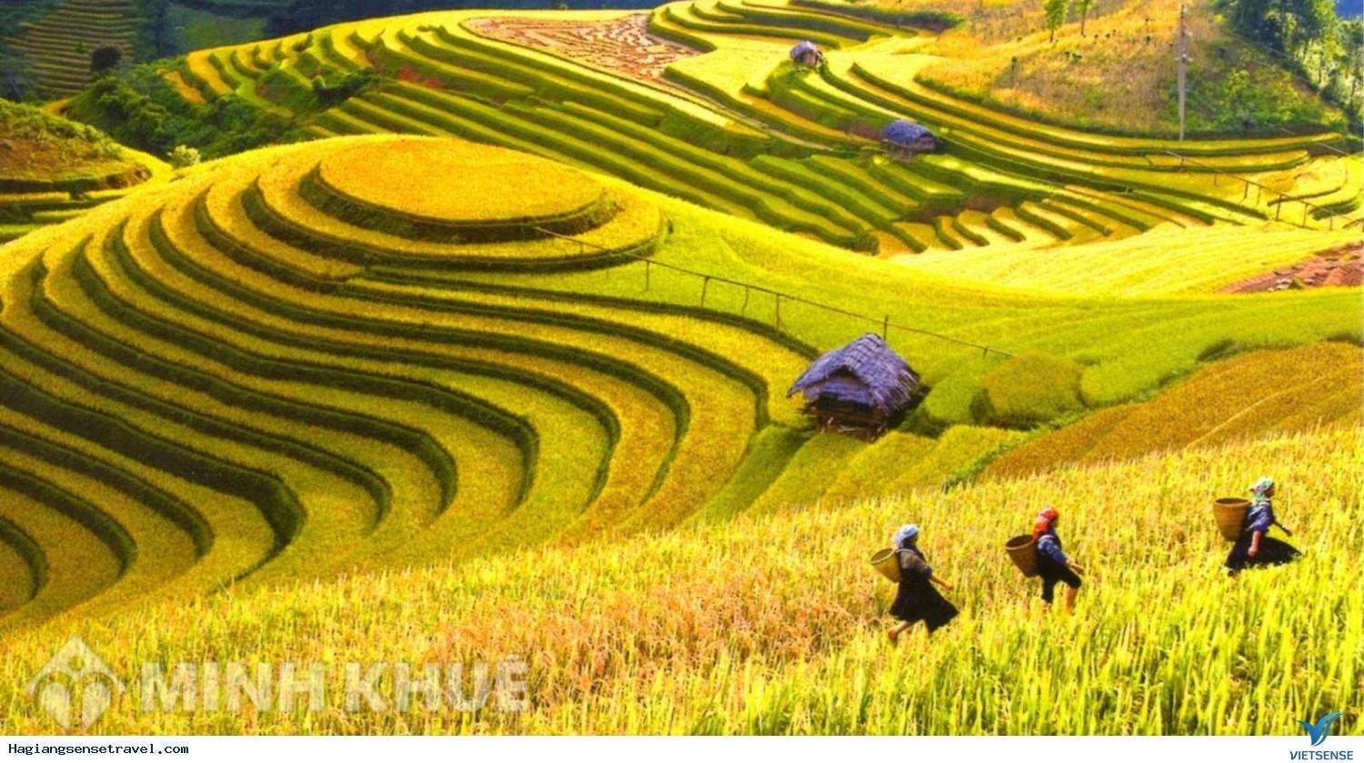 Ruộng Bậc Thang Việt Nam