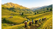 Tả khu ruộng bậc thang chọn lọc hay nhất