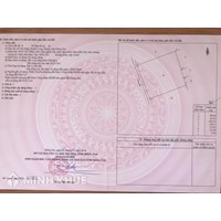 Cách đọc hiểu các mục ghi trên sổ đỏ, sổ hồng nhà đất?
