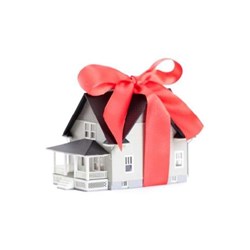Mẫu đơn bố mẹ cho con đất viết tay đầy đủ, chi tiết nhất