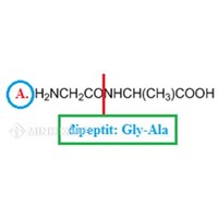 Đipeptit là gì? Trong các chất dưới đây chất nào là đipeptit?