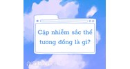 Cặp nhiễm sắc thể tương đồng là gì?