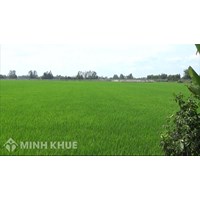 Cán bộ công chức, viên chức có được mua đất nông nghiệp không?