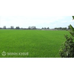 Cán bộ công chức, viên chức có được mua đất nông nghiệp không?