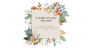 Hình nền hoa mẫu đơn đẹp, ý nghĩa cho điện thoại