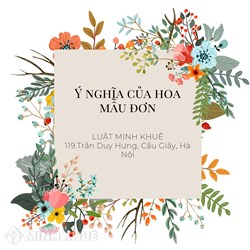 Hình nền hoa mẫu đơn đẹp, ý nghĩa cho điện thoại