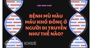 Bệnh mù màu máu khó đông ở người di truyền như thế nào?