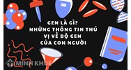 Gen là gì? Những thông tin thú vị về bộ gen của con người