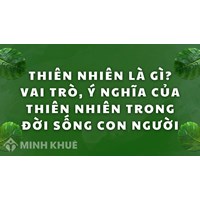 Thiên nhiên là gì? Vai trò, ý nghĩa của thiên nhiên trong đời sống con người