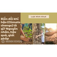Biển đổi khí hậu (Climate change) là gì? Nguyên nhân, hậu quả, giải pháp