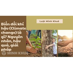 Biển đổi khí hậu (Climate change) là gì? Nguyên nhân, hậu quả, giải pháp