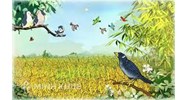 Phân tích 6 câu thơ đầu bài Khi con tu hú chọn lọc hay nhất