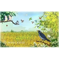 Phân tích 6 câu thơ đầu bài Khi con tu hú chọn lọc hay nhất