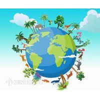 Tính đa dạng sinh học là gì? Tính đa dạng sinh học cao thể hiện ở?
