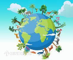 Tính đa dạng sinh học là gì? Tính đa dạng sinh học cao thể hiện ở?