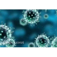 Mức phạt vi phạm về phòng chống lây nhiễm bệnh truyền nhiễm