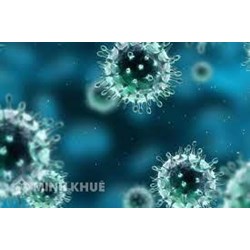 Mức phạt vi phạm về phòng chống lây nhiễm bệnh truyền nhiễm