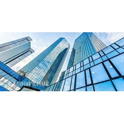 Top 5 tập đoàn, 10 công ty lớn nhất tại Việt Nam hiện nay