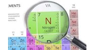 Nitơ là gì? Nitơ trong xác thực vật, động vật là dạng?