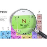 Nitơ là gì? Nitơ trong xác thực vật, động vật là dạng?