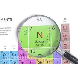 Nitơ là gì? Nitơ trong xác thực vật, động vật là dạng?
