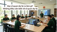 Học sĩ quan dự bị ra làm gì? Những điều cần biết về sĩ quan dự bị