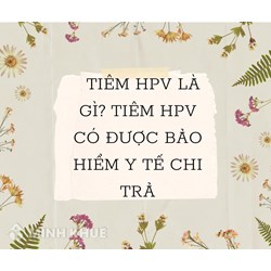 Tiêm HPV là gì? Tiêm HPV có được Bảo hiểm y tế chi trả?