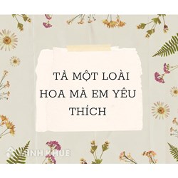 Tả một loài hoa mà em thích chọn lọc hay nhất