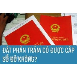 Đất phần trăm là gì? Đất phần trăm có được cấp sổ đỏ không?