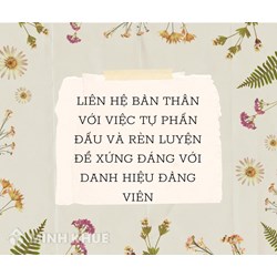Liên hệ bản thân với việc tự phấn đấu và rèn luyện để xứng đáng với danh hiệu Đảng viên