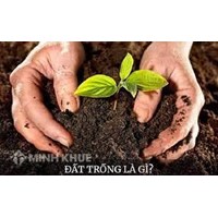 Đất trồng là gì? Thành phần, tính chất và các loại đất trồng?