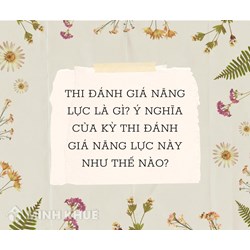 Thi đánh giá năng lực là gì? Ý nghĩa của kỳ thi đánh giá năng lực?