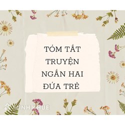 Tóm tắt Hai đứa trẻ ngắn gọn, chọn lọc hay nhất