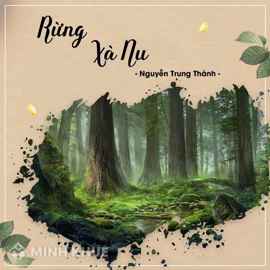 Phân tích nhân vật Tnú trong truyện ngắn Rừng xà nu của Nguyễn Trung Thành