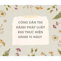 Công dân thi hành pháp luật khi thực hiện hành vi nào sau đây?