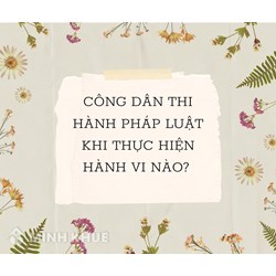 Công dân thi hành pháp luật khi thực hiện hành vi nào sau đây?