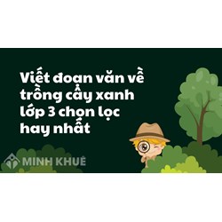 Viết đoạn văn về trồng cây xanh lớp 3 chọn lọc hay nhất