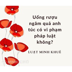 Uống rượu ngâm quả anh túc có vi phạm pháp luật không?