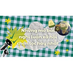 Mở bài chung cho nghị luận xã hội có thể áp dụng cho nhiều đề
