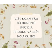 Viết đoạn văn có sử dụng từ ngữ địa phương và biệt ngữ xã hội hay nhất