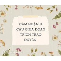 Cảm nhận 14 câu giữa đoạn trích Trao duyên chọn lọc hay nhất