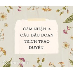 Cảm nhận 14 câu đầu đoạn trích Trao duyên chọn lọc hay nhất