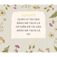 Quản lý tài sản bằng mã vạch là gì? Kiêm kê tài sản bằng mã vạch là gì?