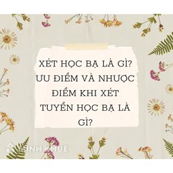 Xét học bạ là gì? Ưu và nhược điểm khi xét tuyển học bạ