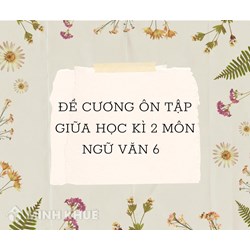 Đề cương ôn tập giữa học kì 2 môn Ngữ văn lớp 6 chọn lọc