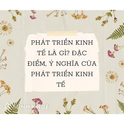 Phát triển kinh tế là gì? Đặc điểm, ý nghĩa  của phát triển kinh tế