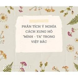 Phân tích ý nghĩa cách xưng hô "mình - ta" trong bài Việt Bắc hay nhất