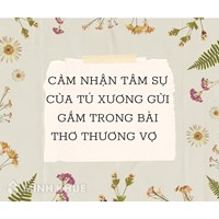 Cảm nhận tâm sự của Tú Xương gửi gắm trong bài thơ Thương vợ hay nhất