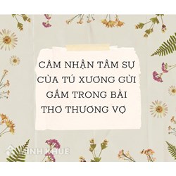 Cảm nhận tâm sự của Tú Xương gửi gắm trong bài thơ Thương vợ hay nhất